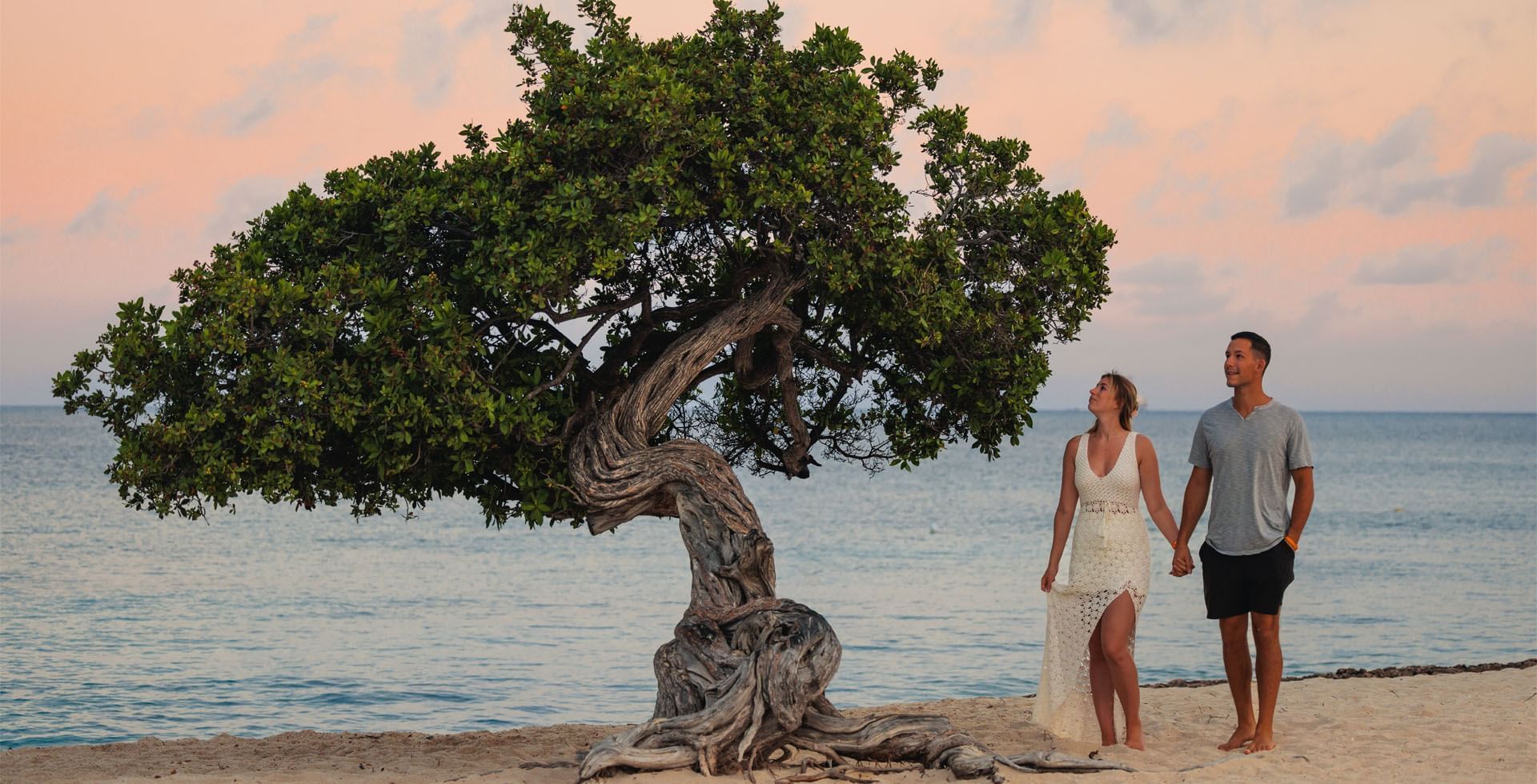 Fofoto tree Passions on the Beach - Eagle Beach Aruba