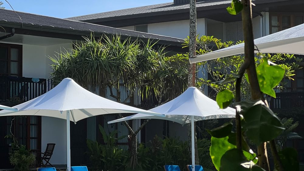 Adult Only Pool and Bar with blue loungers and white umbrellas at Warwick Fiji Resort and Spa, Korolevu.