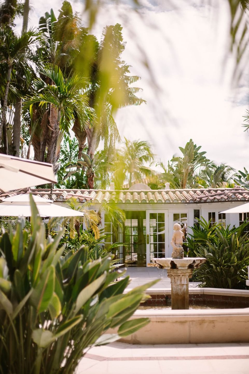 A garden with a fountain and a statue, surrounded by lush greenery and white umbrellas.