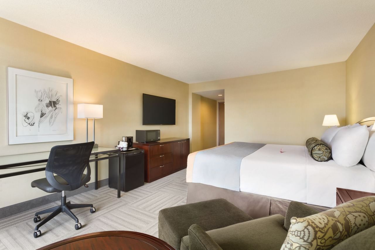 Marina Comfort Superior City View King