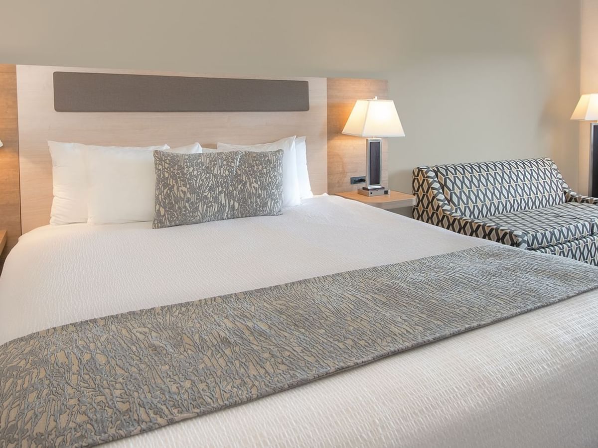 Hotel room with king bed, couch, and lamps