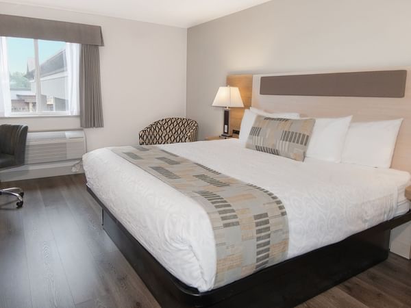 Hotel room with king bed, lamps, window, and chair