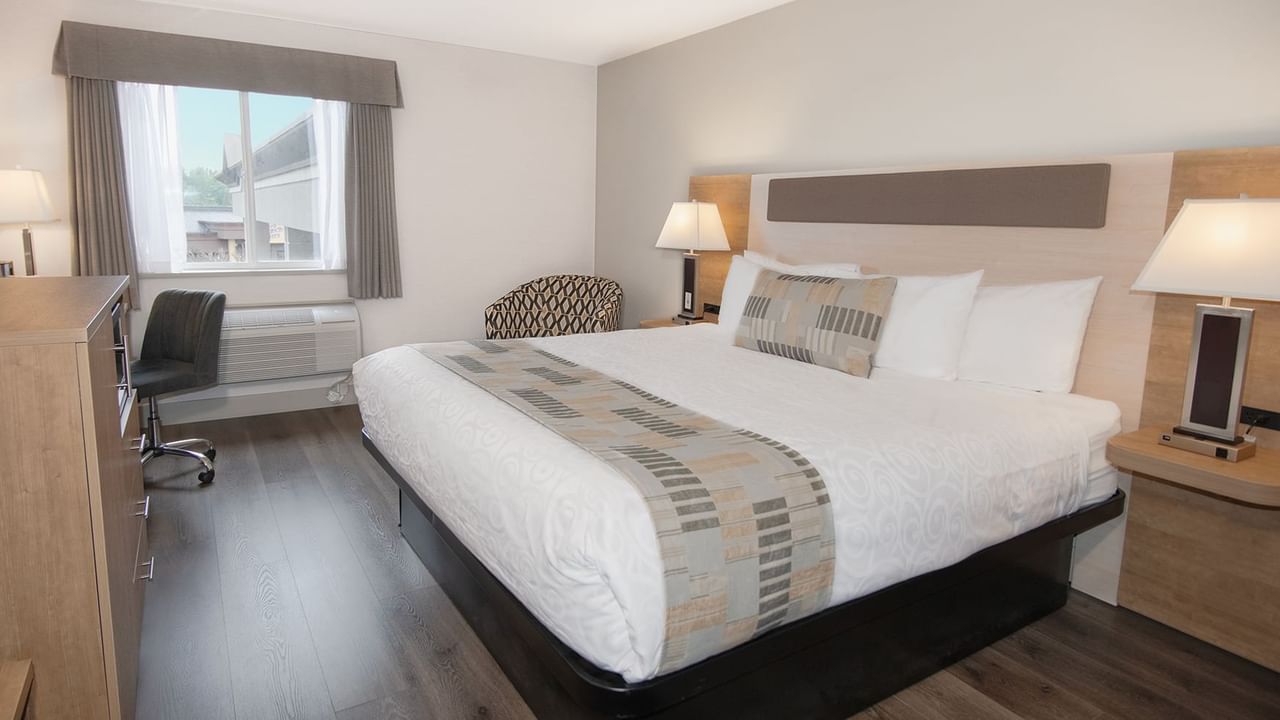 Hotel room with king bed, lamps, window, and chair