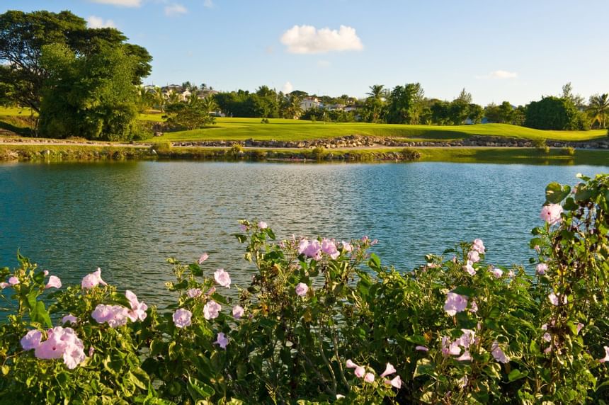 Lake surrounded by trees & flowers at Bougainvillea Barbados