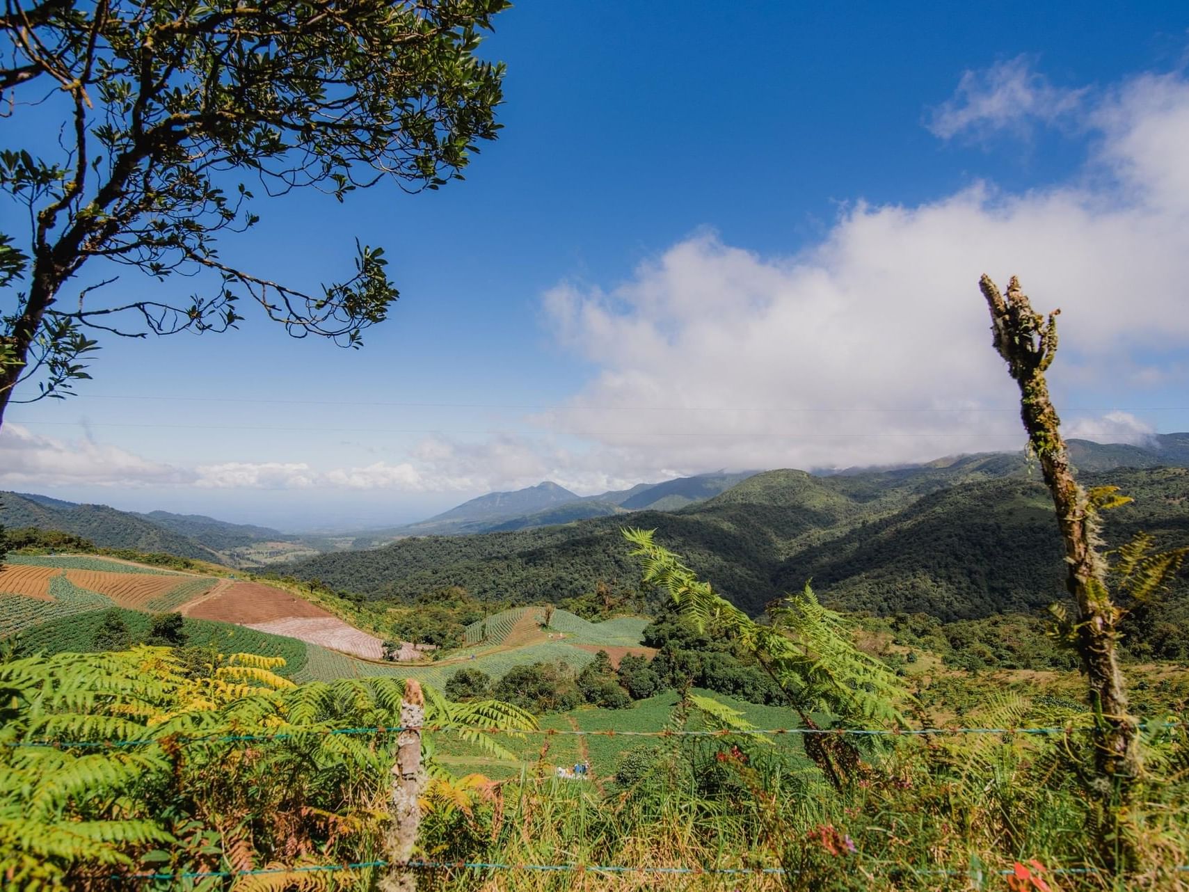 Lush green landscape with rolling hills near El Silencio Lodge and Spa