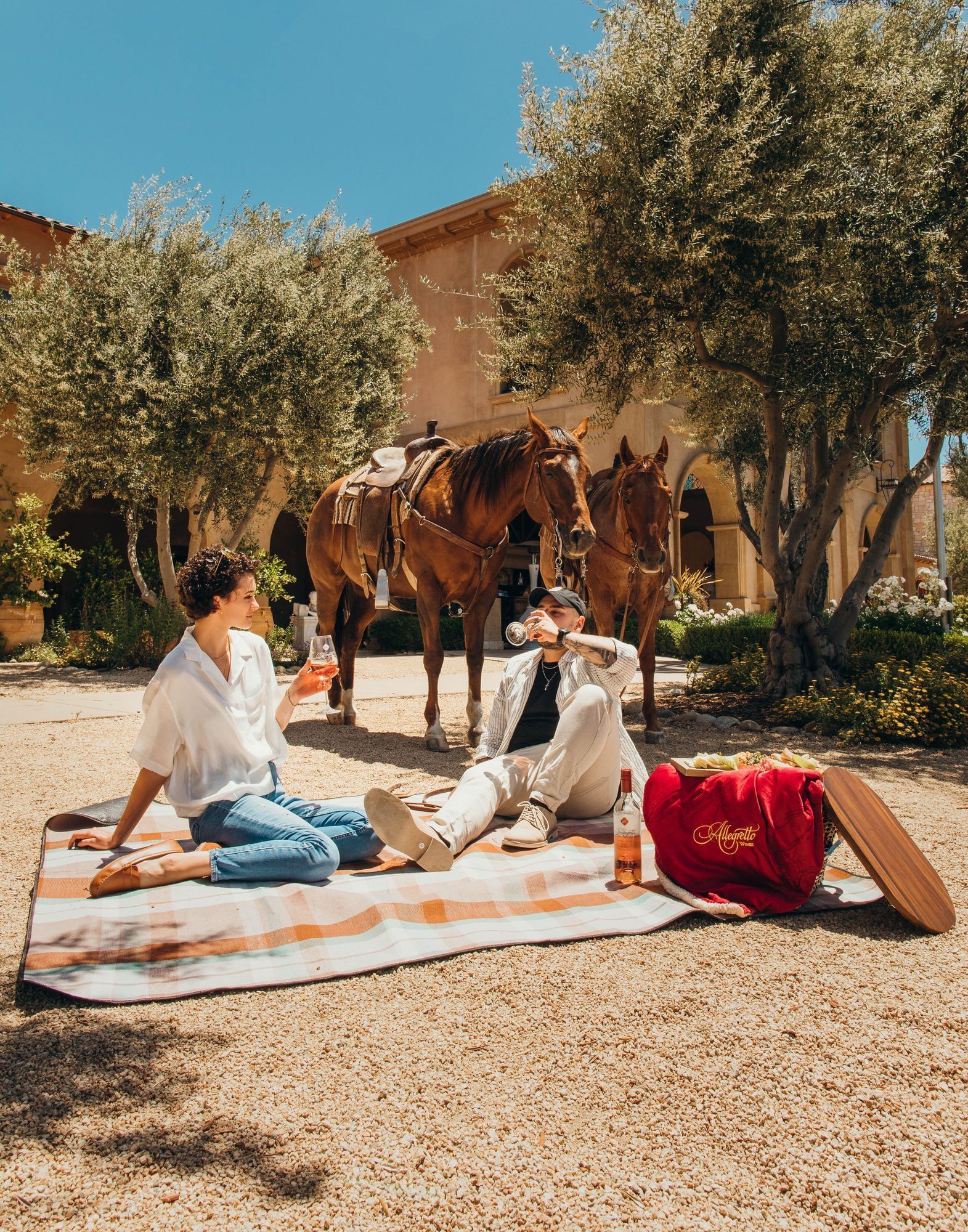 Lorem ipsum Man and woman sitting on a blanket and drinking wine with a horse in the back