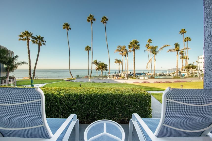 Two chairs and table facing a bush and palm trees