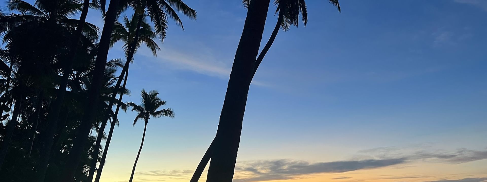 Sunset view of palm trees on the private beach at Tambua Sands Beach Resort in Sigatoka