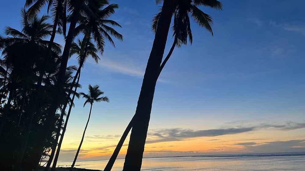 Sunset view of palm trees on the private beach at Tambua Sands Beach Resort in Sigatoka.