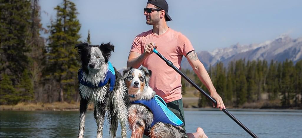 A person and their two dogs sit on a paddleboard and paddle on a river near Canmore in May.