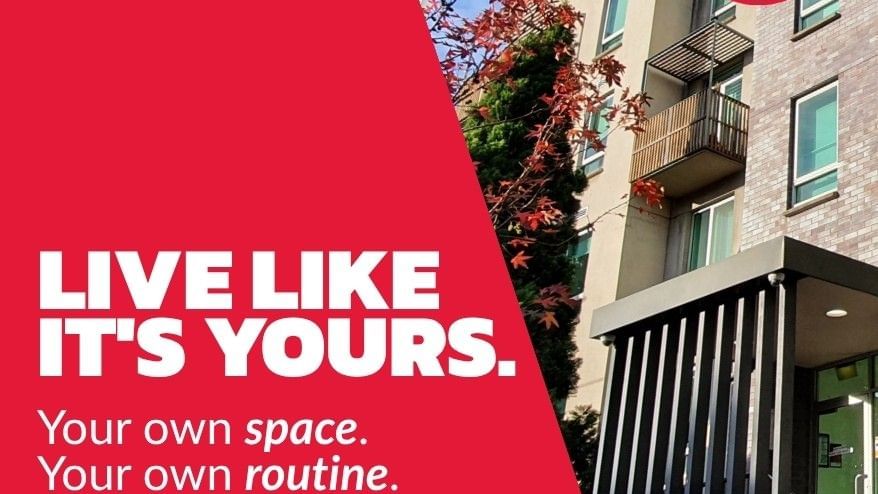 550 Lygon Open For 2026!