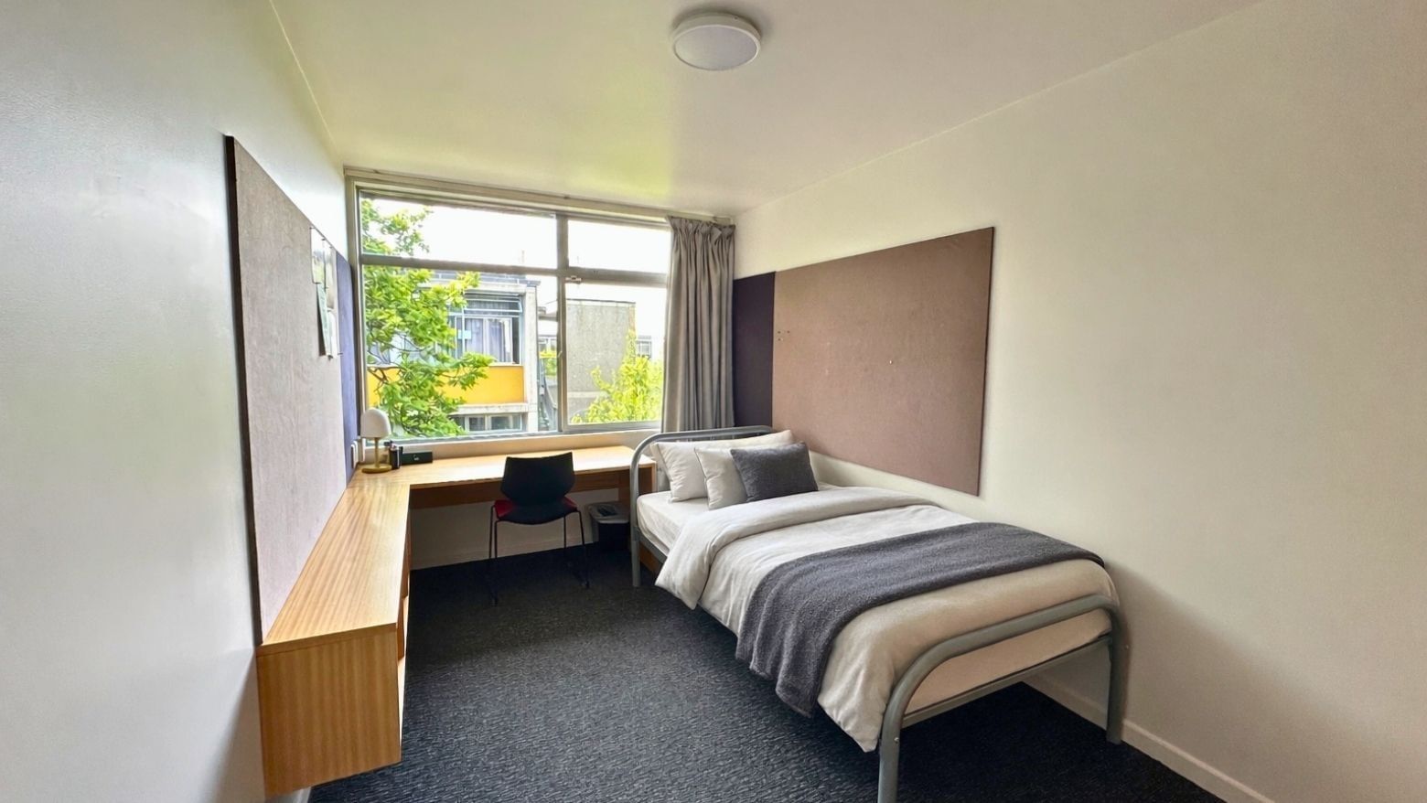 Single bed with desk and chair in a simple student room at Ilam Student Accommodation.