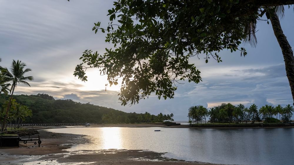 Beach at The Naviti Resort in Korolevu with sunset and trees.