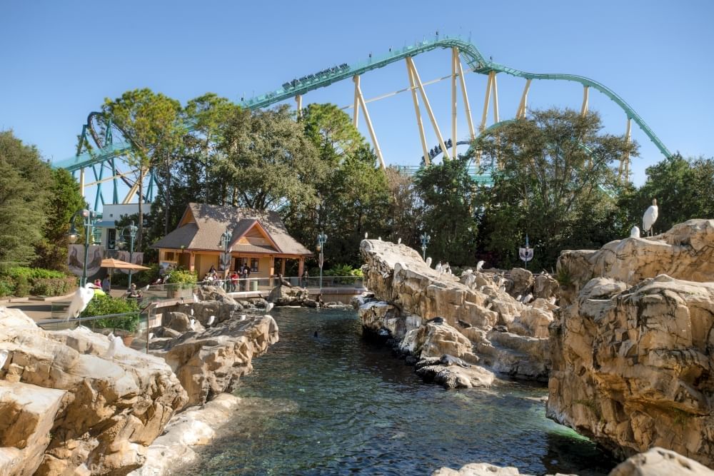A river surrounded by rocky outcroppings with white birds, a cabin-like building in the background, and a towering yellow and green coaster in the distance.