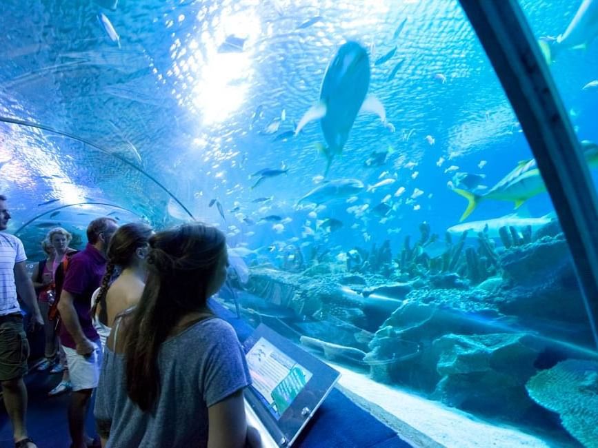 Aquaria KLCC, a famous place to visit in Kuala Lumpur near Imperial Lexis