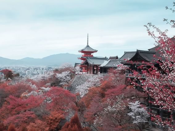 Kiyomizu Dera Temple near Park Hotel Group