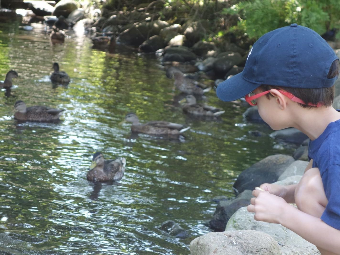 Children Outdoor Activities in East Hampton, NY