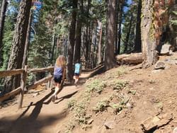 Kids walking on Five Lakes hiking trail near Granlibakken Tahoe