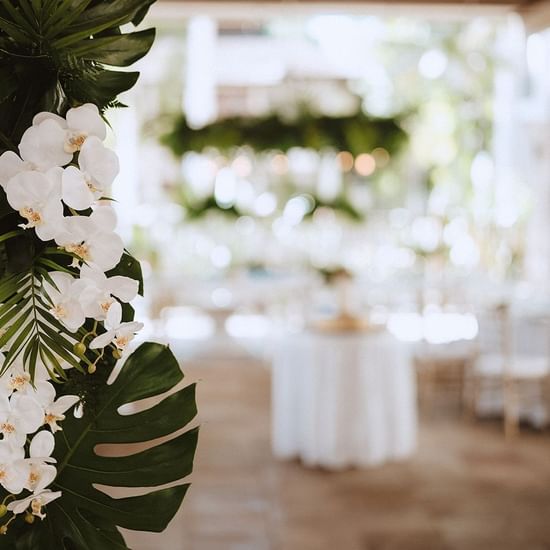 Modern tropical Terrace set up, Pullman Palm Cove Resort