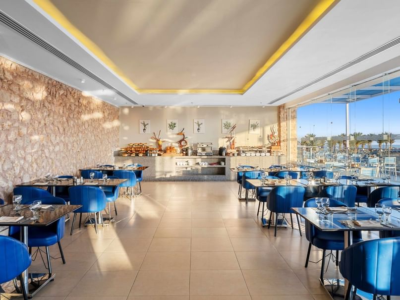 Modern dining room with blue chairs, white tables, stone wall, and glass panels offering an outdoor view.