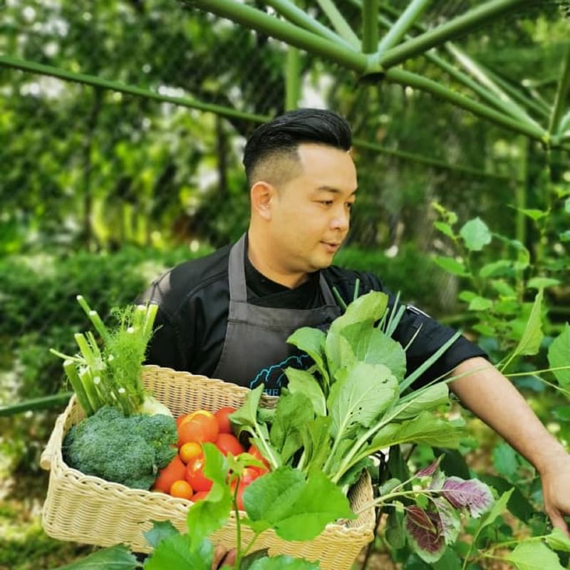 Picking crops from Chef Boon's Organic Garden near The Banjaran Hotsprings Retreat