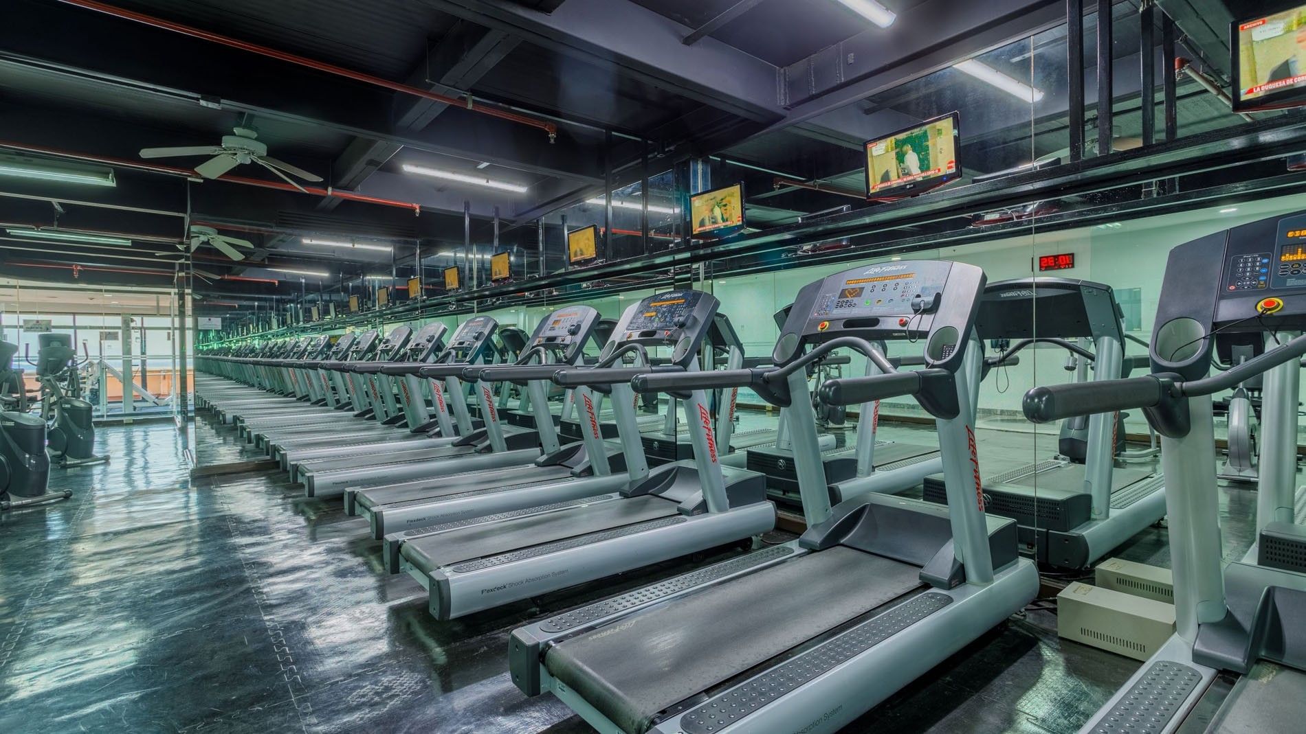 Treadmills in a row by mirrors under ceiling fans in the gym at the Camino Real Aeropuerto Mexico