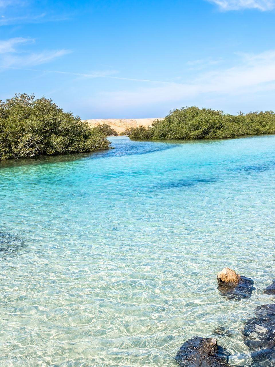 Pickalbatros Hotels & Resorts | Luxury Hotel in Egypt & Morocco