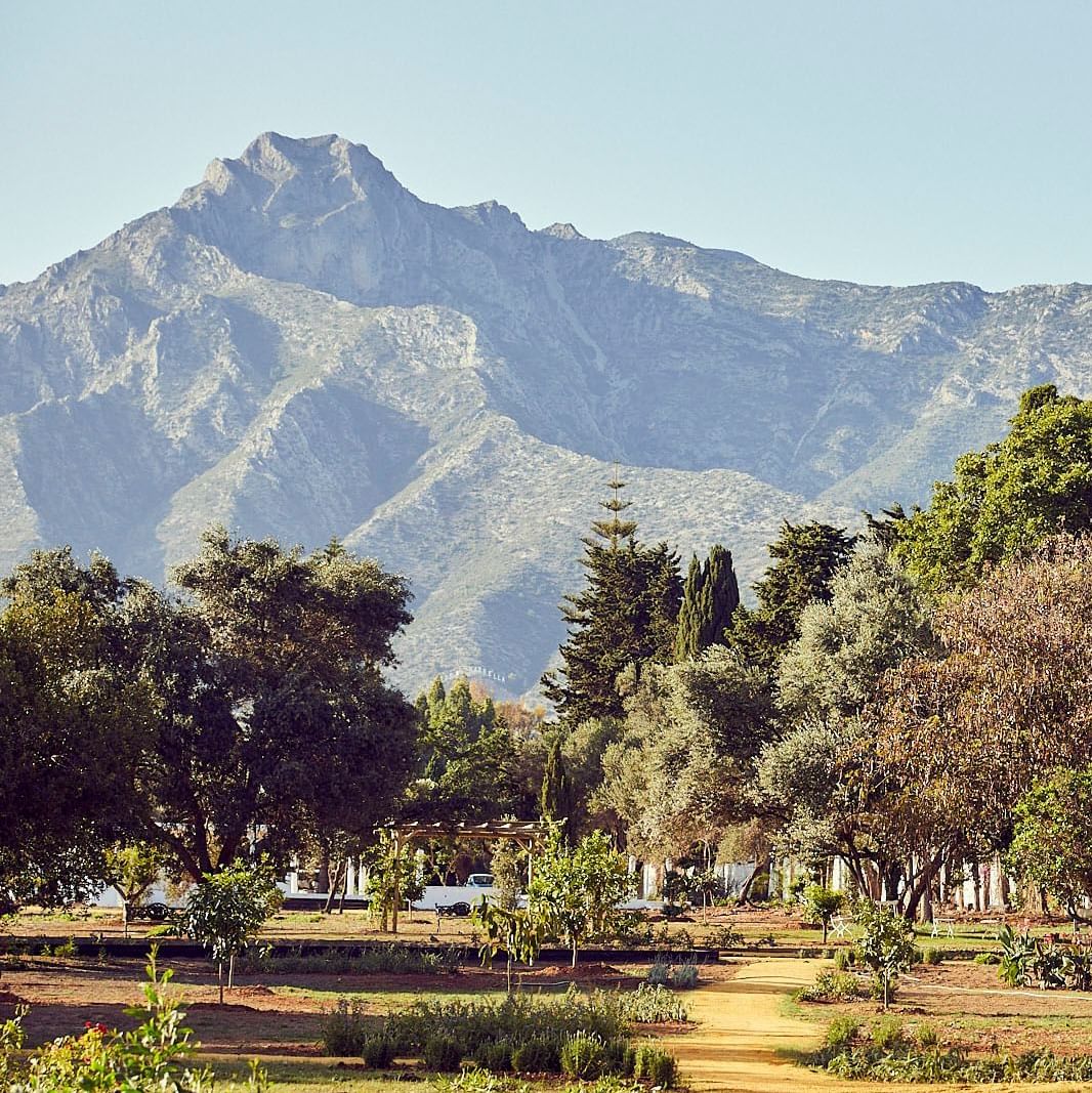 marbella club grounds next to the Mediterranean Sea and La Concha mountain