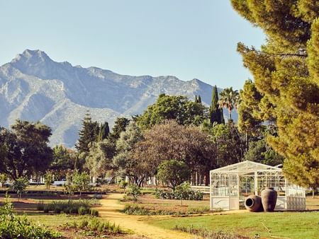 marbella club grounds next to the Mediterranean Sea and La Concha mountain