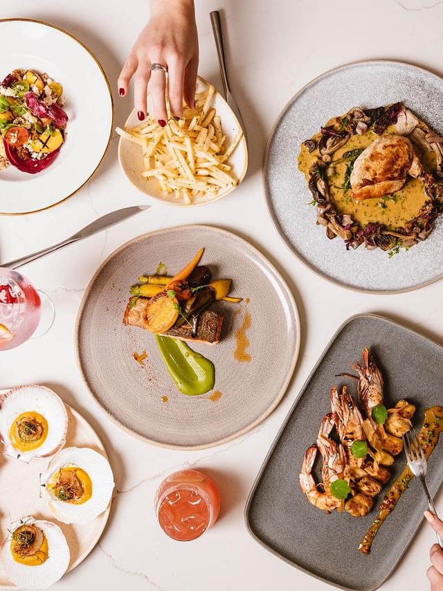 Bistro Manly at Elysium Manly, featuring gourmet plates and cocktails under bright light surrounding a white marble table