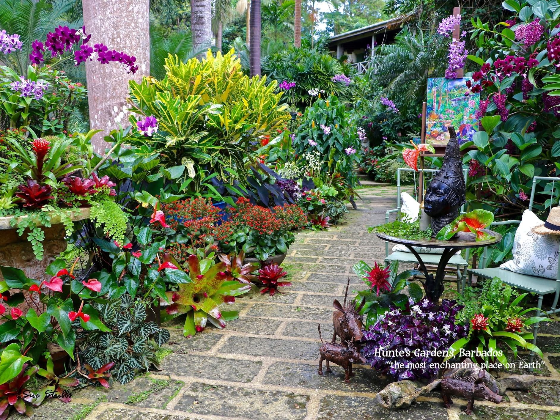 A flower lined path through a garden at Bougainvillea Barbados