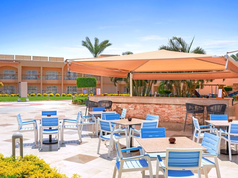 Terrace Bar at Pickalbatros Royal Moderna Resort in Sharm El Sheikh