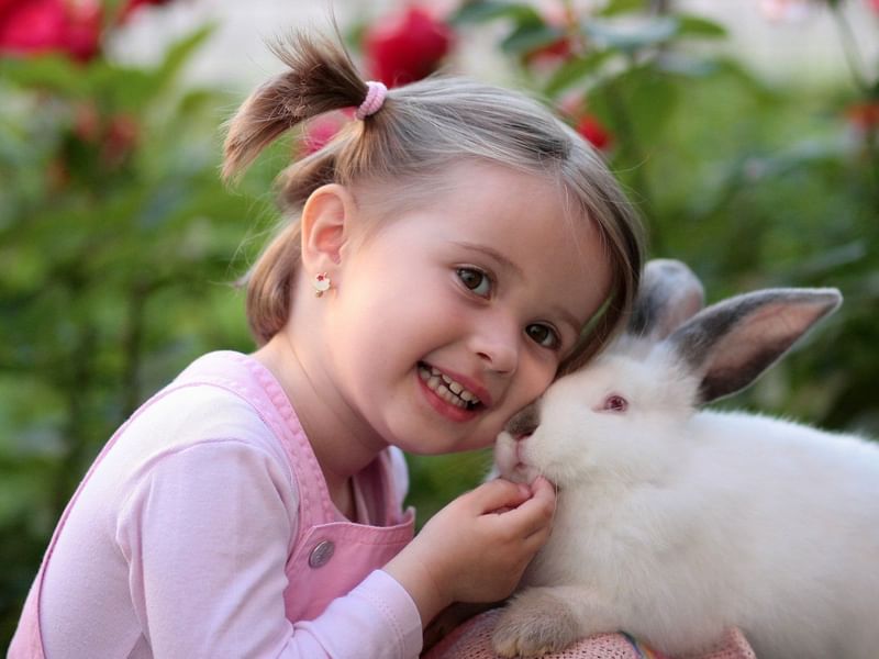 Child posing at Country Farm near Pullman Bunker Bay Resort