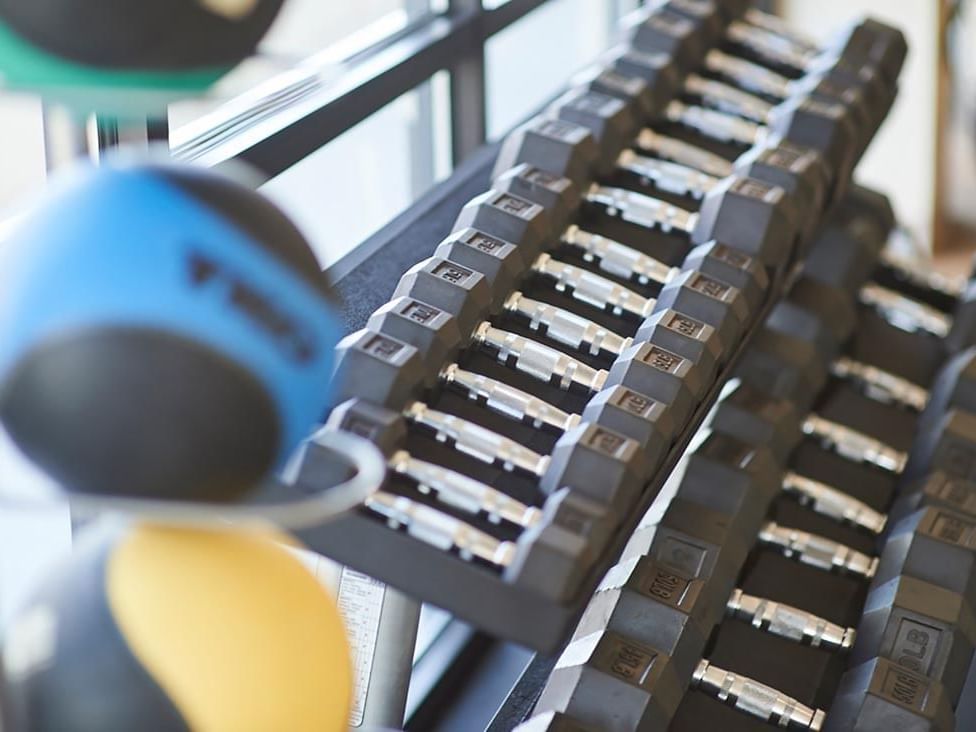 Close-up of a dumbbell rack in  Fitness Room at Warwick Denver