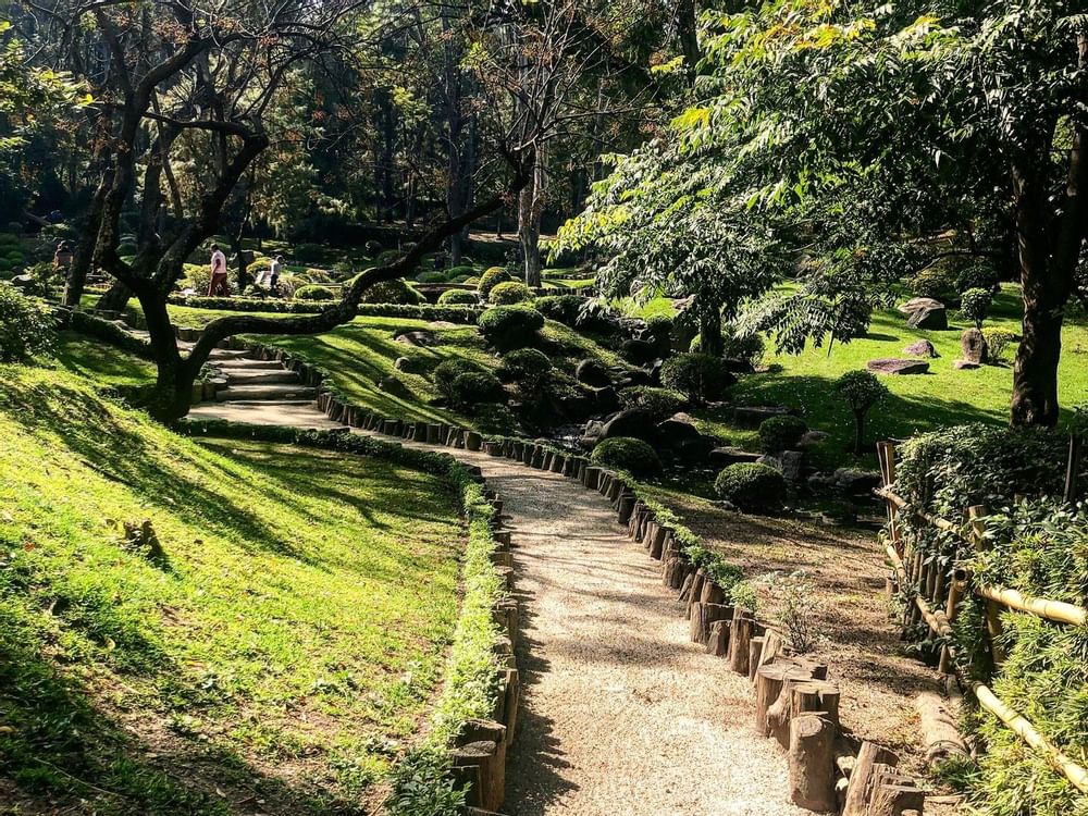 Pathway amid trees in Colomos Park near La Colección Resorts