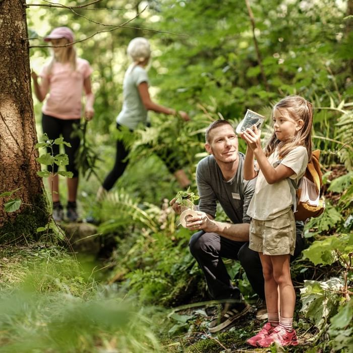 Mann und Mädchen untersuchen Insekten in einem Wald mit zwei weiteren Kindern im Hintergrund.