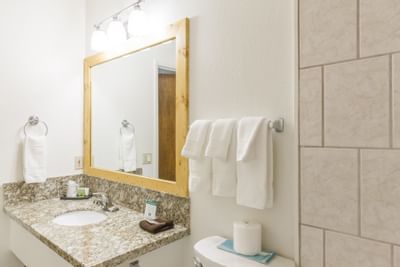 Bathroom & vanity in Double Studio Room at Alpenhof Lodge