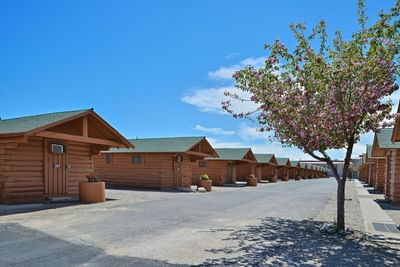 Row of charming log cabins with green roofs at Buffalo Bill Village under a clear blue sky