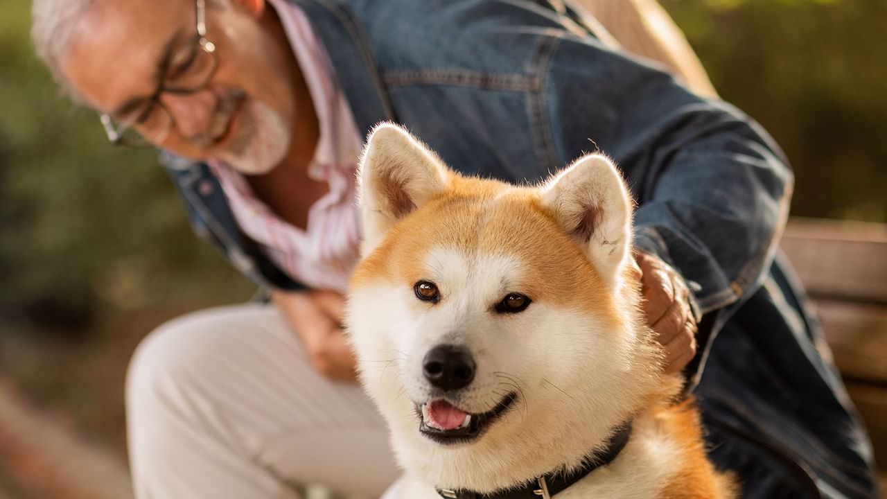 cheerful man sitting on bench with dog