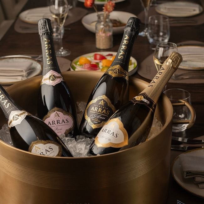 Arras x Bacar: Born This Way