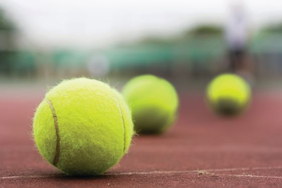 Tennis balls at the tennis court in Topnotch Stowe Resort