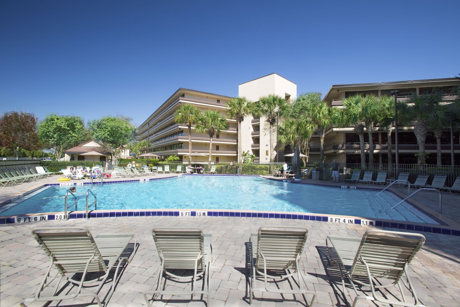 Four lounge chairs facing a pool with palm trees and a long hotel building across the pool.