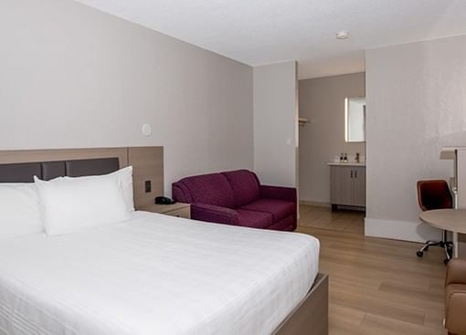 Coast Queen at Coast Red Deer Hotel