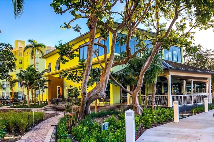 exterior of restaurant with palm trees