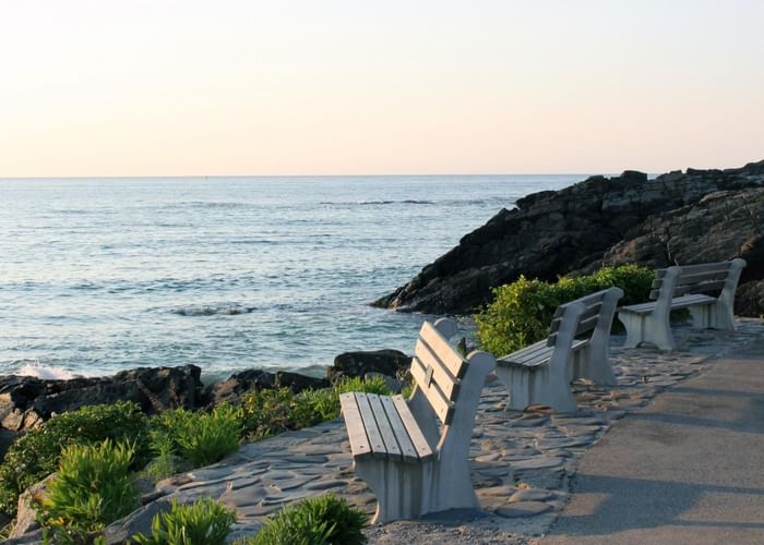 Three benches near the Atlantic Ocean at Ogunquit Collection