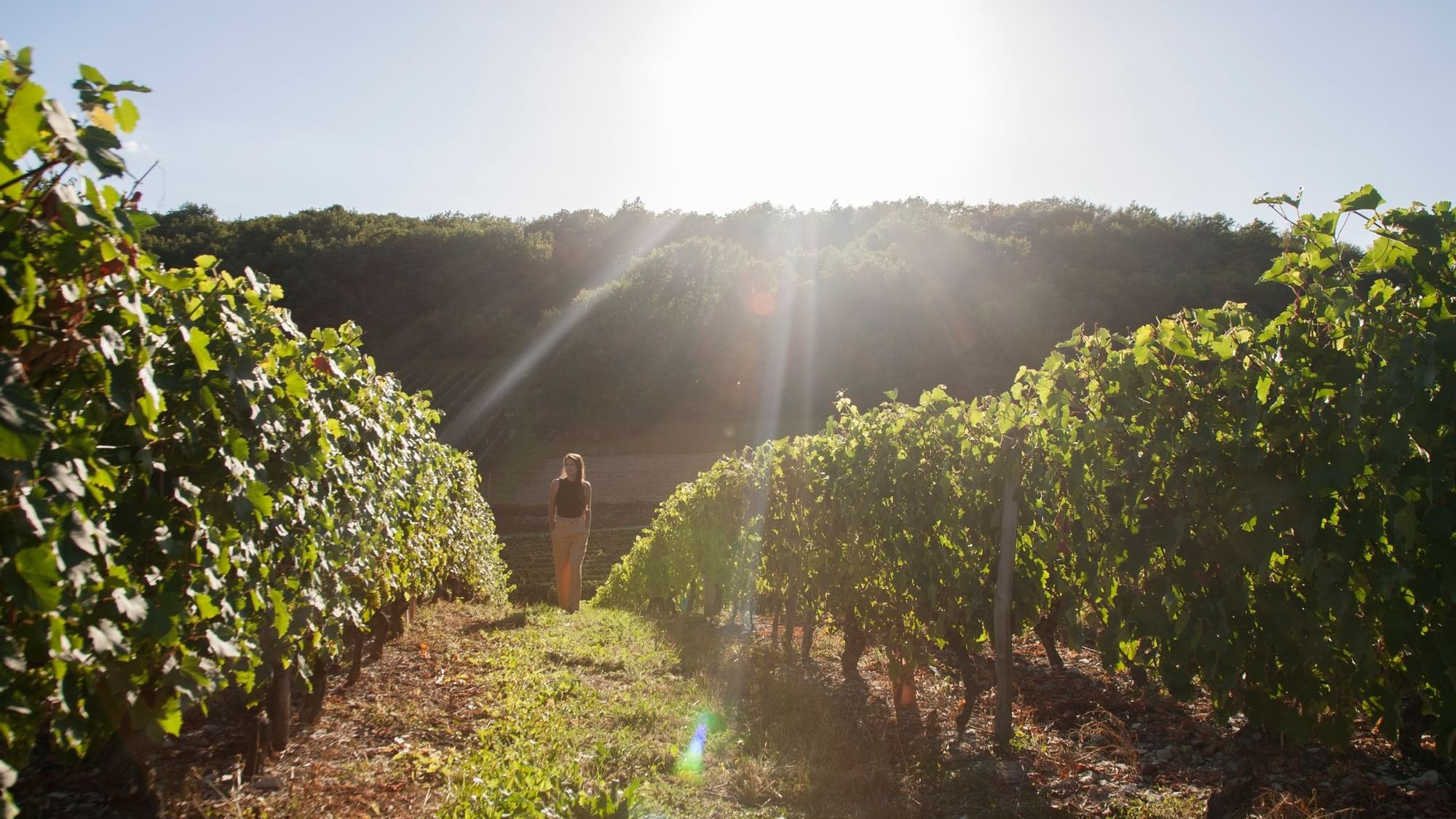 Lady walking in a vineyard during sunrise near Originals Hotels