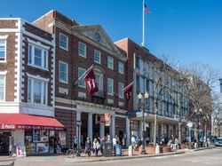 shops around harvard square