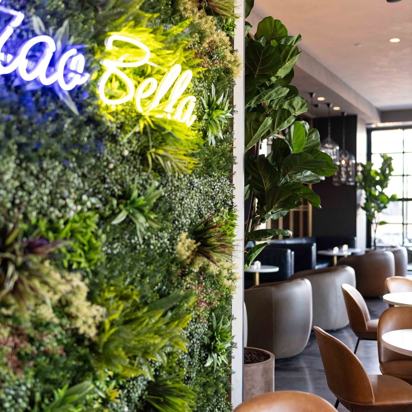 The Rooftop at The Artisan Hotel Salem