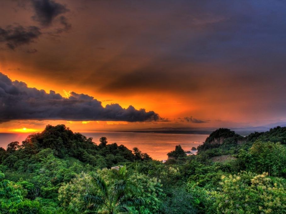 Things to do in Manuel Antonio at Night