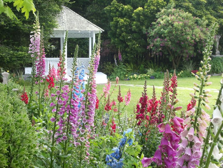 Flowers in the Gazebo Garden 